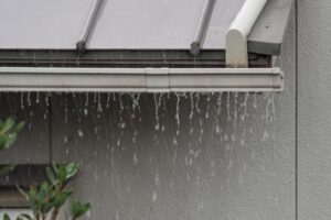 雨樋のつまり