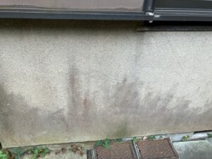 外壁のカビ汚れ