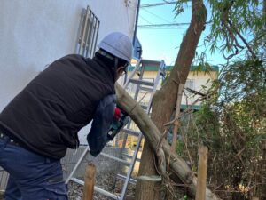 隣地の樹木の伐採