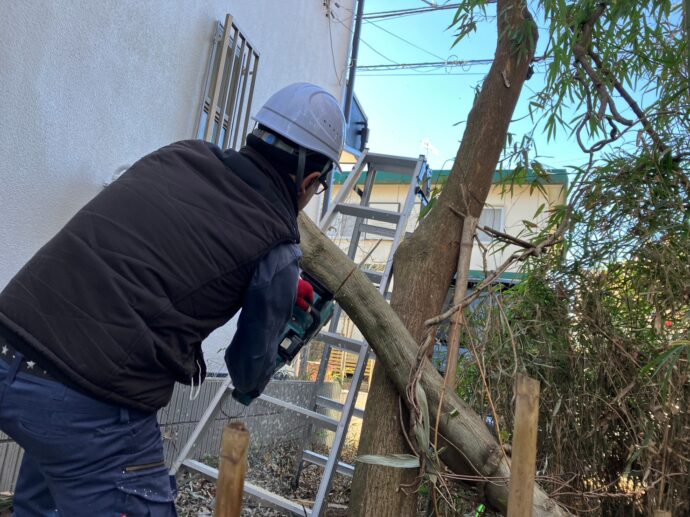 隣地の樹木の伐採